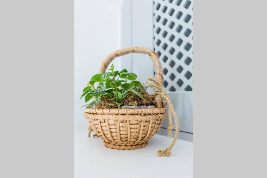 Myrtia House Skopelos Kültér fotó